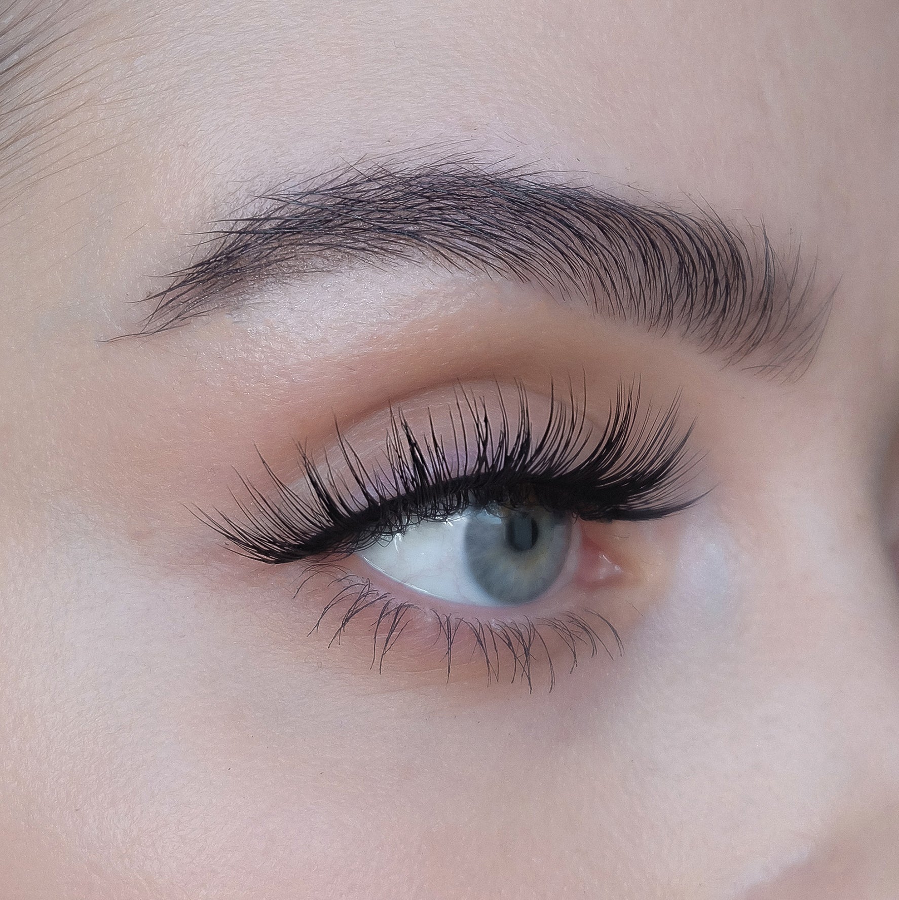 sweed-north-3d-faux-cils-noirs-volumineux-bande-coton-flexible-effet-regard-de-b image 3