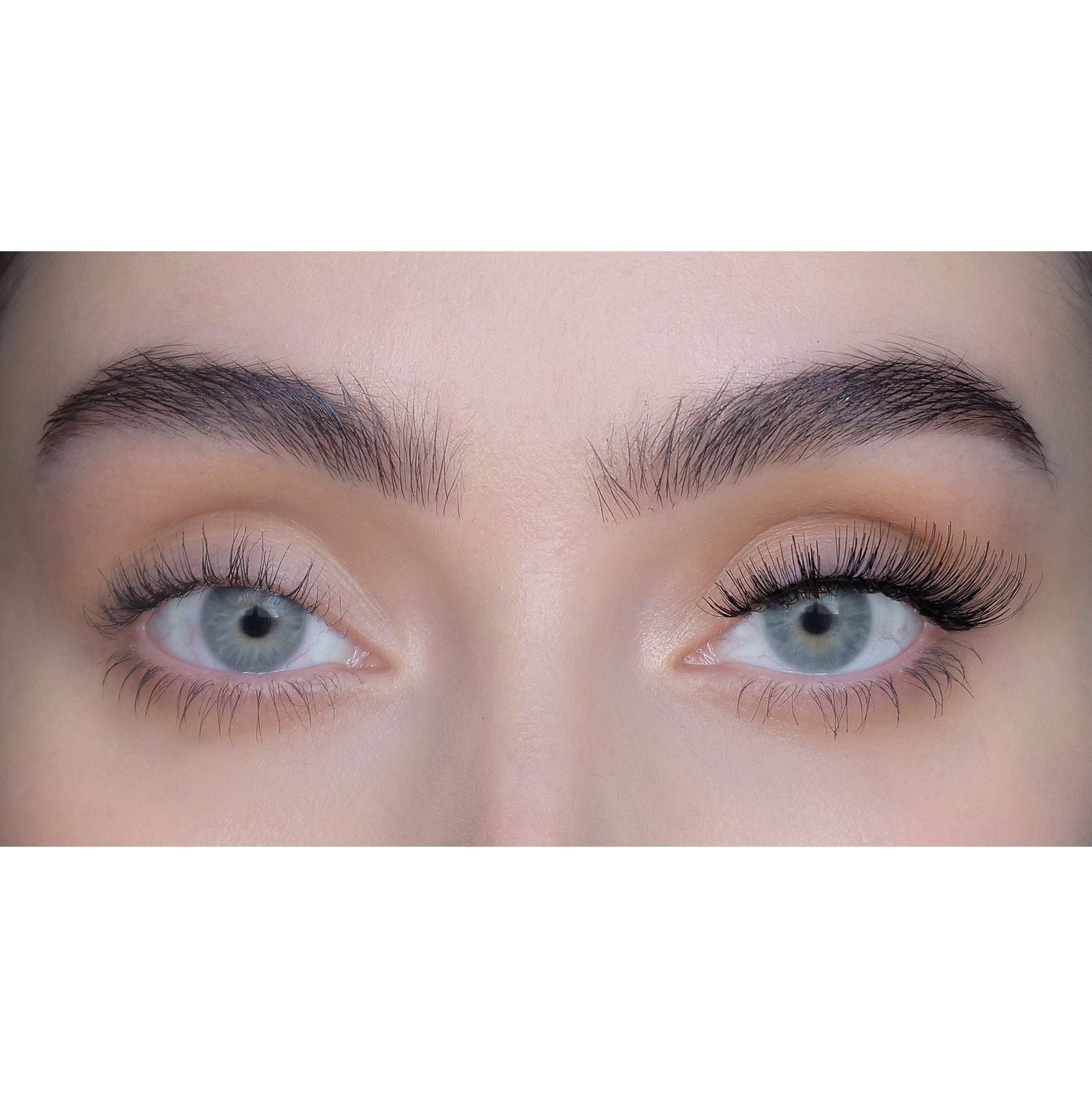 sweed-gabbi-faux-cils-best-sellers-allongement-latin-aux-coins-noir-colle-vendue image 3