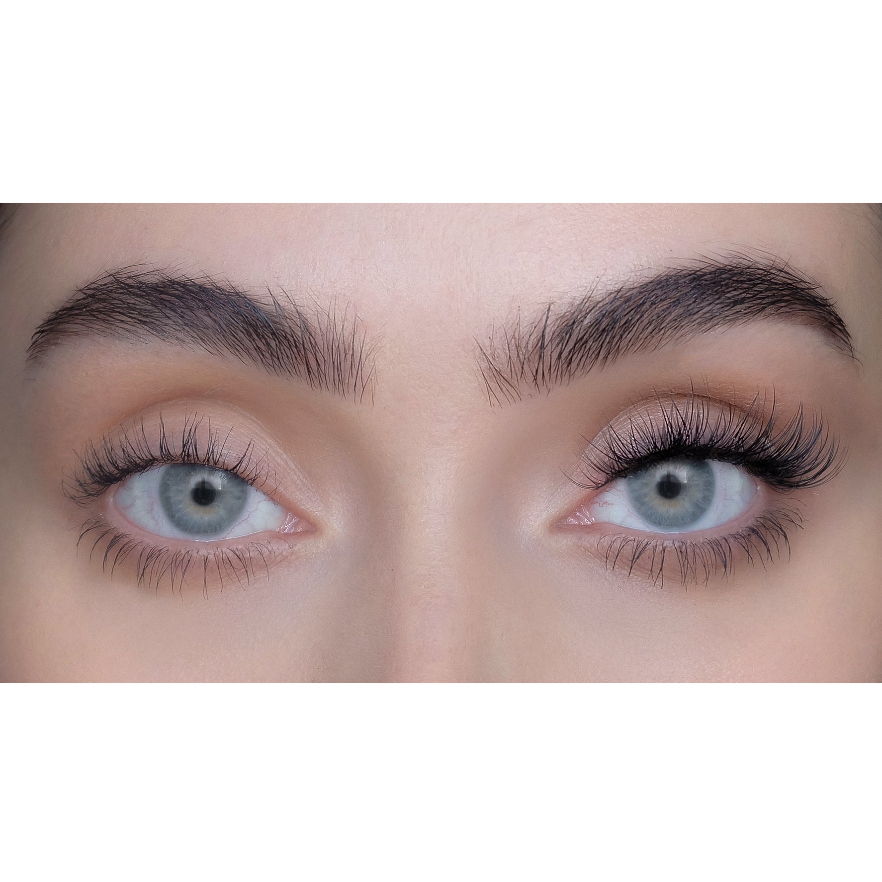 sweed-no-lash-lash-faux-cils-individuels-naturels-pointes-effil-es-4-longueurs-6 image 4