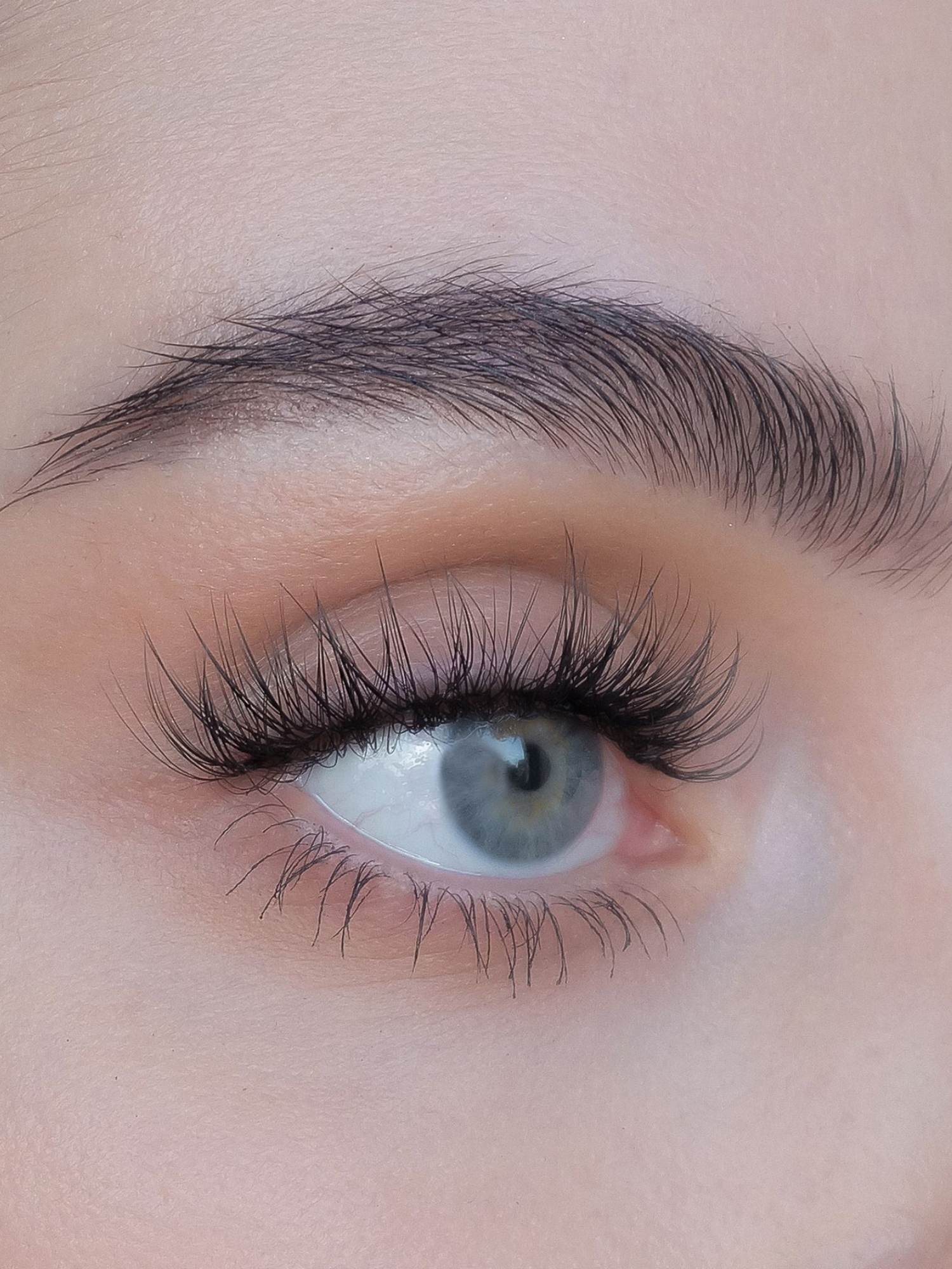 sweed-no-lash-lash-faux-cils-individuels-naturels-pointes-effil-es-4-longueurs-6 image 2