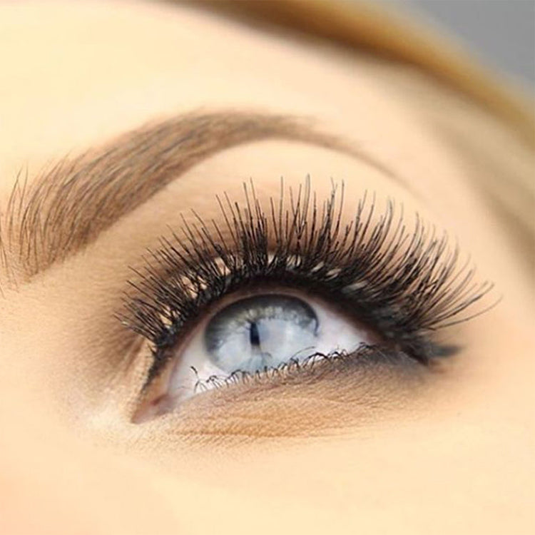 sweed-gabbi-faux-cils-best-sellers-allongement-latin-aux-coins-noir-colle-vendue image 5