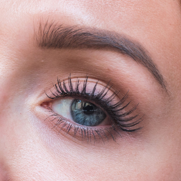 sweed-nar-faux-cils-naturels-s-par-s-et-d-finis-effet-flamme-jour-et-nuit-noir image 4